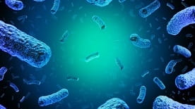 An illustration of Listeria bacterium. The Fresh Ideation Food Group...