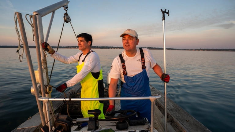 Oyster farmers Ben Gonzalez and David Daly of Southold Bay...