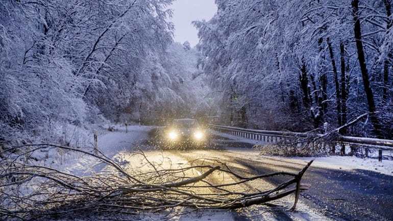 Fallen trees block a country road in a forest of...