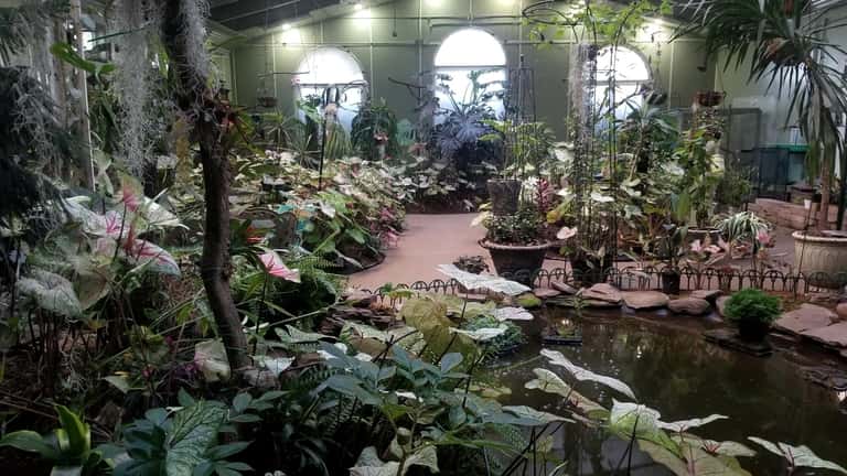 The interior of the Joseph L. Popp, Jr. Butterfly Conservatory,...