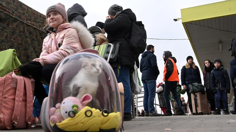 Second Place, Animals. Refugees from Ukraine pour across the border...