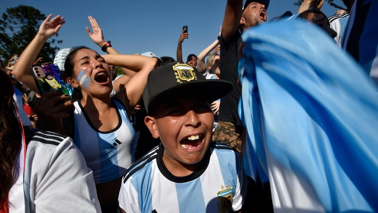 Argentina soccer fans celebrate their team's goal a they watch...