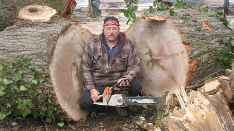 Charles Bongiorno Jr. at his East Northport firewood yard.