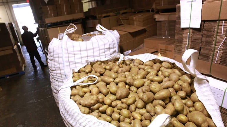 Russett potatoes, which come in 2,000-pound bags, wait to be...