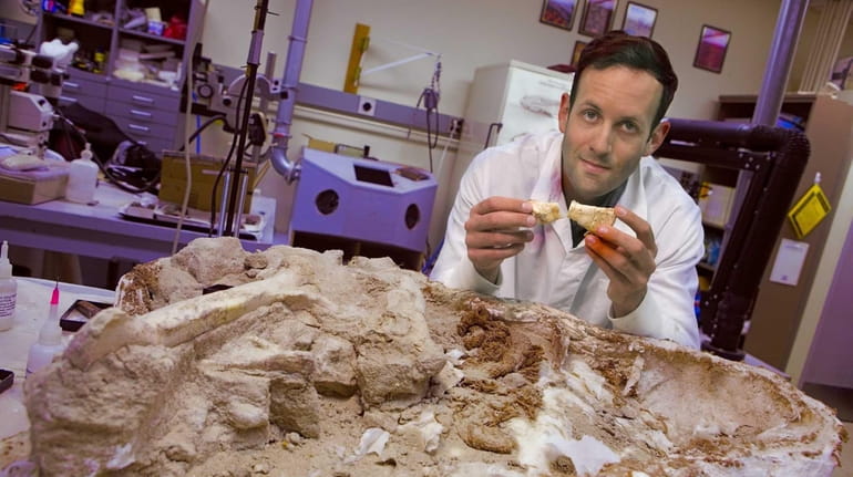 Stony Brook University paleontologist Michael D'Emic, seen holding a dinosaur...