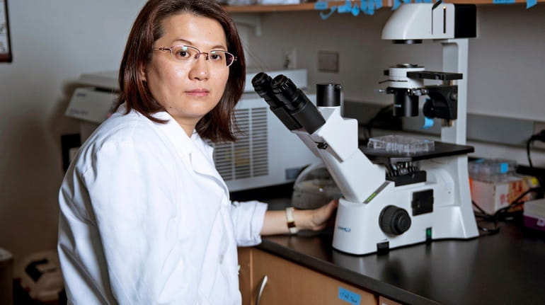 Lori Chan checks the cancer stem cell population in the department of...