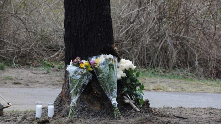 Flowers are placed at the base of a tree on...