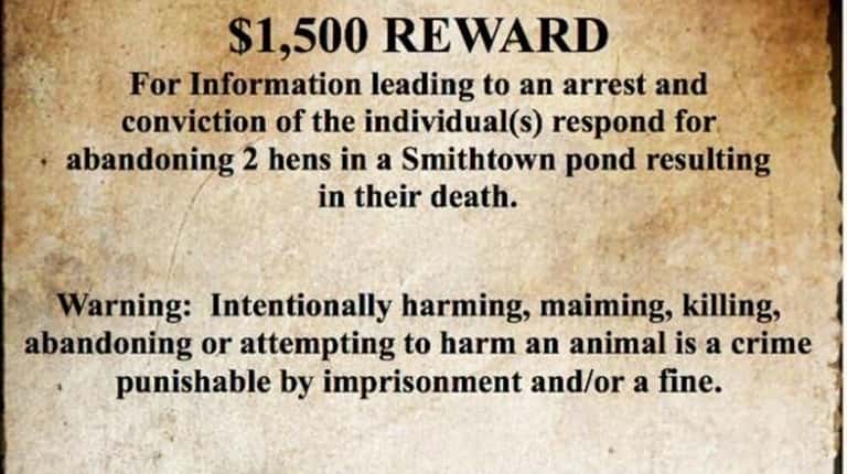 A $1,500 reward is being offered for information leading to...
