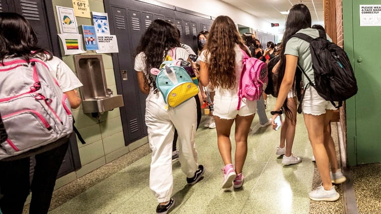One education expert said Long Island's schools generally exceed state...