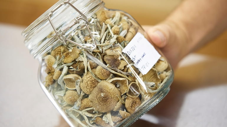Gared Hansen shows psilocybin mushrooms that are ready for distribution...
