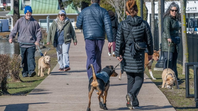 People walk their dogs in Heckscher Park in Huntington on...