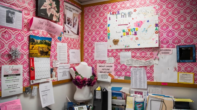 Pink is one of the themes at the volunteer offices...