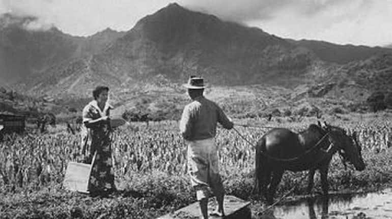 An enumerator interviews a farm worker in a Hawaiian field...