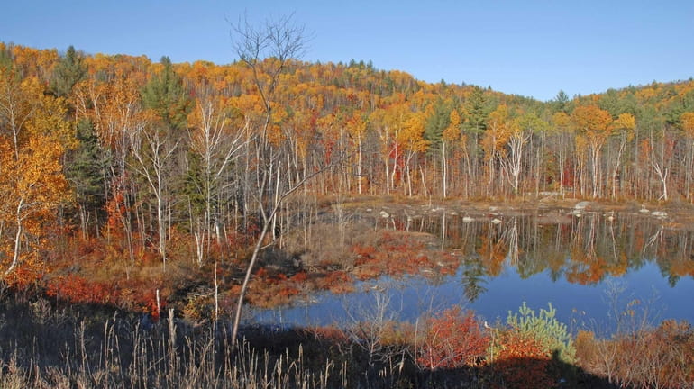 Autumn foliage in the Adirondacks near Lake Placid. (Oct. 21,...