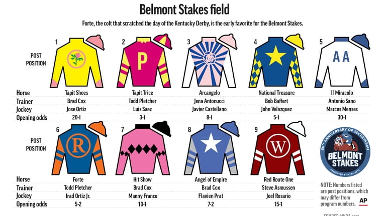 Graphic shows horses in the Belmont Stakes with post positions,...