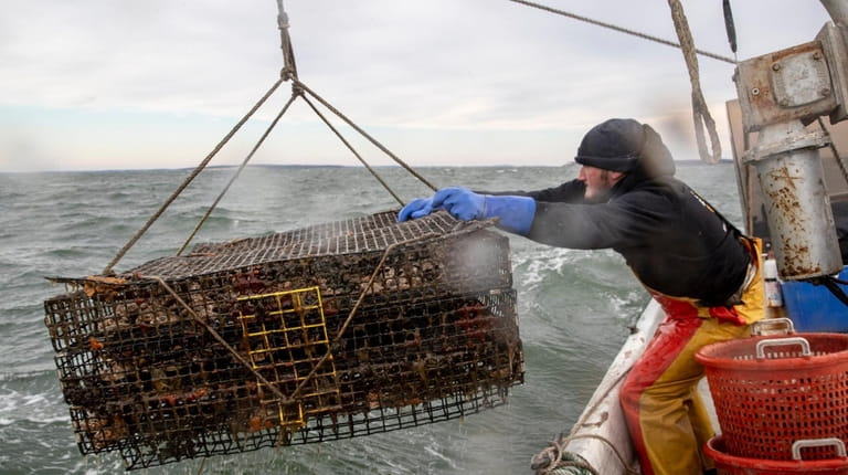 First Mate Chase Hale grabs stackable oyster cages from the...