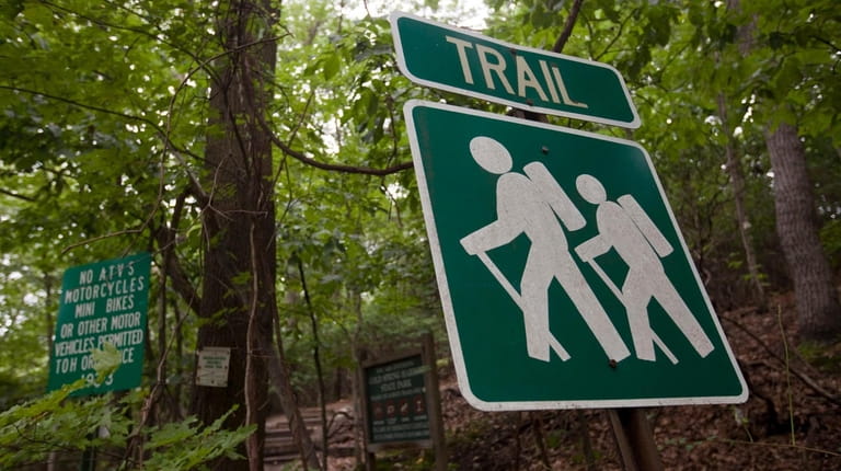 Runners at The Nassau-Suffolk Greennelt trail in Cold Spring Harbor...