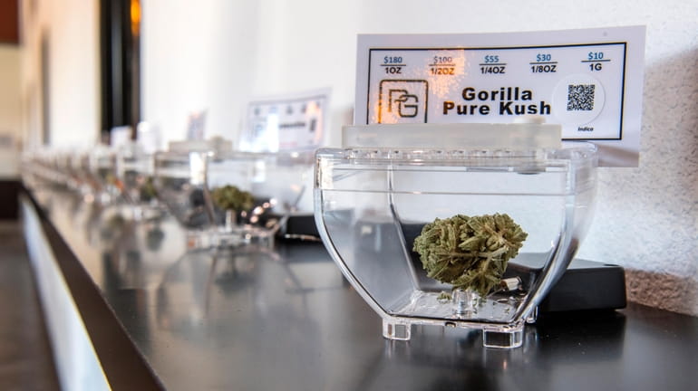 Gorilla Pure Kush is one of the many varieties of...