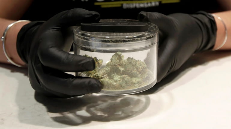 A manager at a cannabis dispensary holds a marijuana sample.