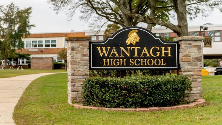 The Wantagh district also is planning a tax-cap override.