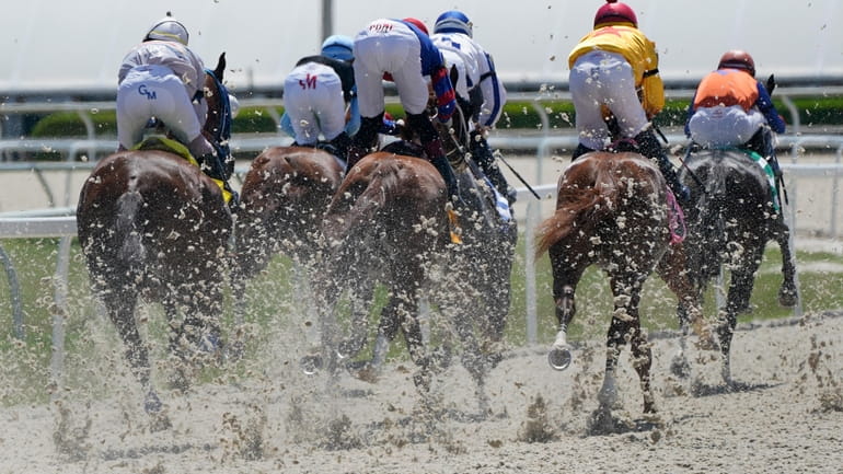 Horses kick up the new synthetic track surface as they...