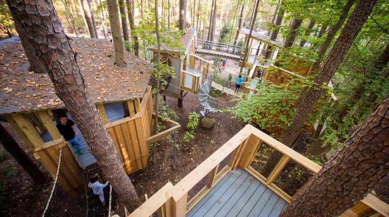 The Treehouse Village at Durham's Museum of Life and Science...