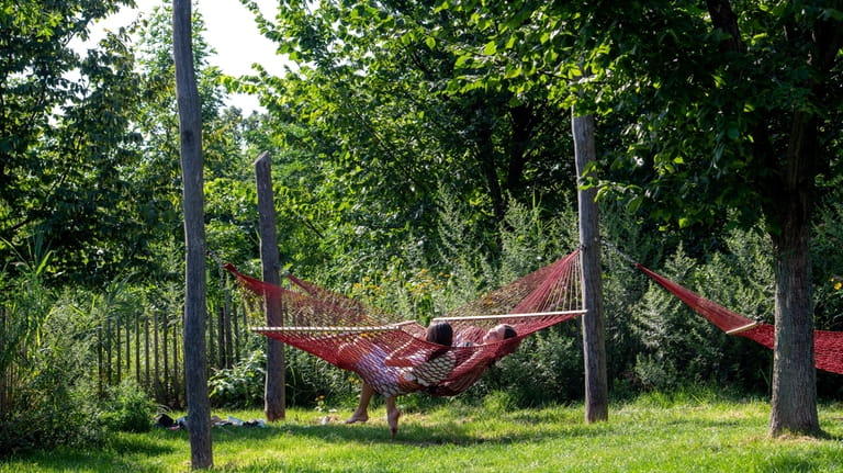 Visitors relax at Hammock Grove on Governors Island.