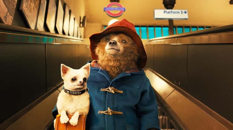 Paddington Bear (Voiced by Ben Whishaw) in The Weinstein Company's...