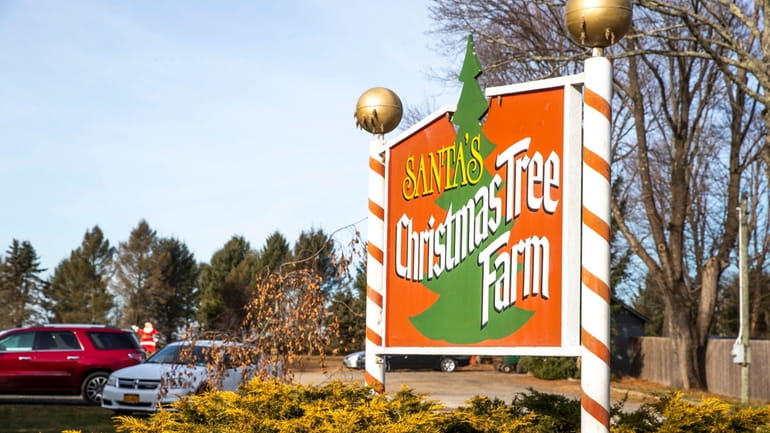 Santa's Christmas Tree Farm in Cutchogue, shown here in December...