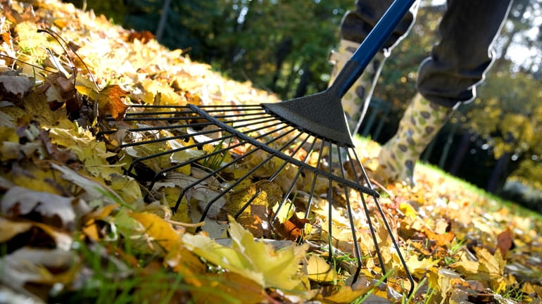 This autumn chore is a breeze when you know how...