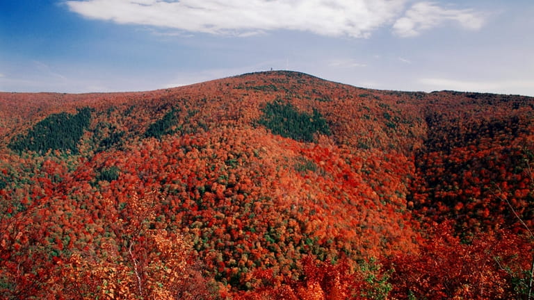 Go hiking at Mount Greylock, the highest point in Massachusetts.