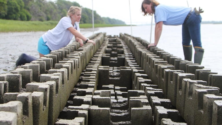An oyster castle built in South Carolina fosters sedimentation and...