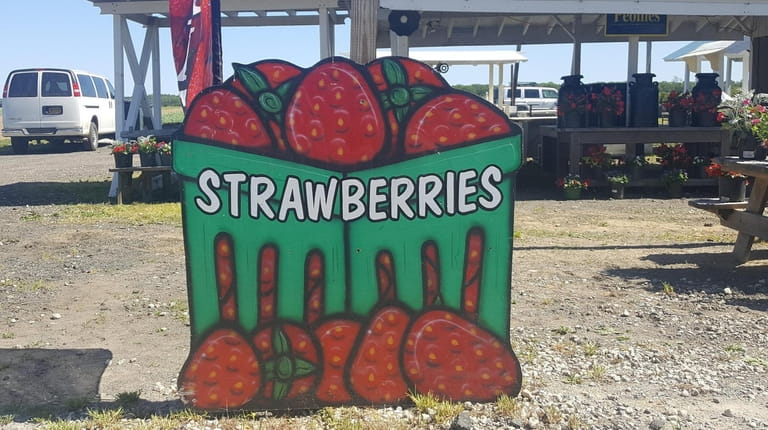 A sign welcomes guests as Patty's Berries and Bunches in...