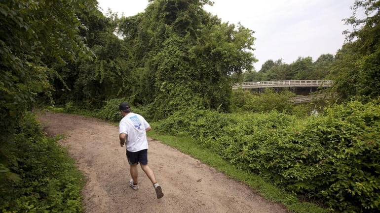 A jogger goes for a run at Sunken Meadow State...