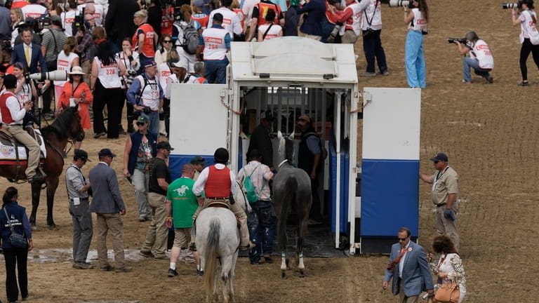 Here Mi Song is taken by an equine ambulance after...