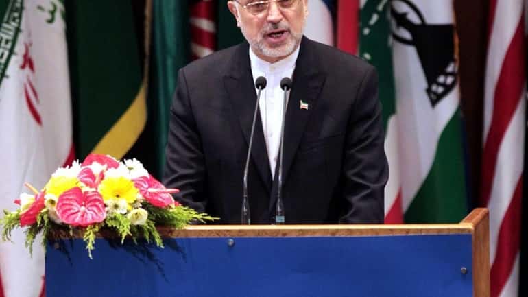 Iranian Foreign Minister Ali Akbar Salehi delivers his speech during...