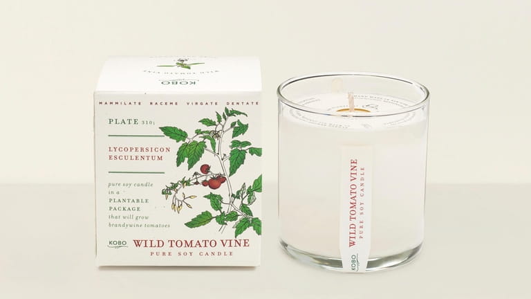 Wild tomato vine candle brings the goodness of the garden indoors.