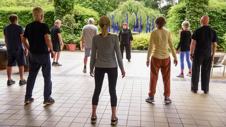 Attendees of an introductory tai chi class get grounded at...
