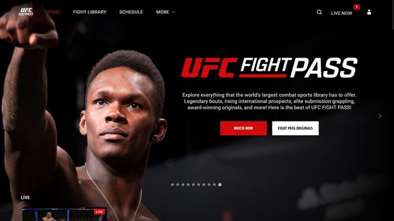 UFC Fight Pass launched in 2013 as a streaming service...