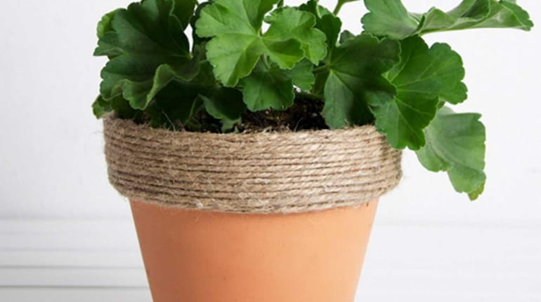 Twine lends an earthy, rustic vibe to planters. Step one:...