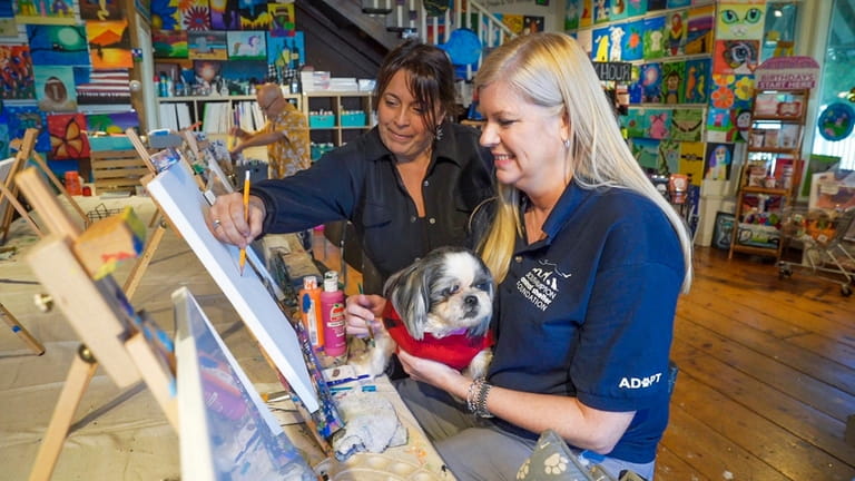 Barbara Marotelli-Shapland, co-owner of Pawcasso Art Studio and Pet Boutique...