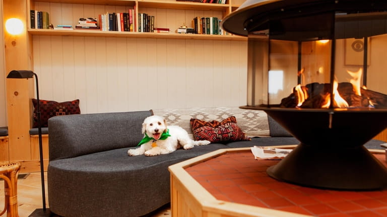 Scribner's Catskill Lodge is a pet-friendly hotel located in Hunter. 