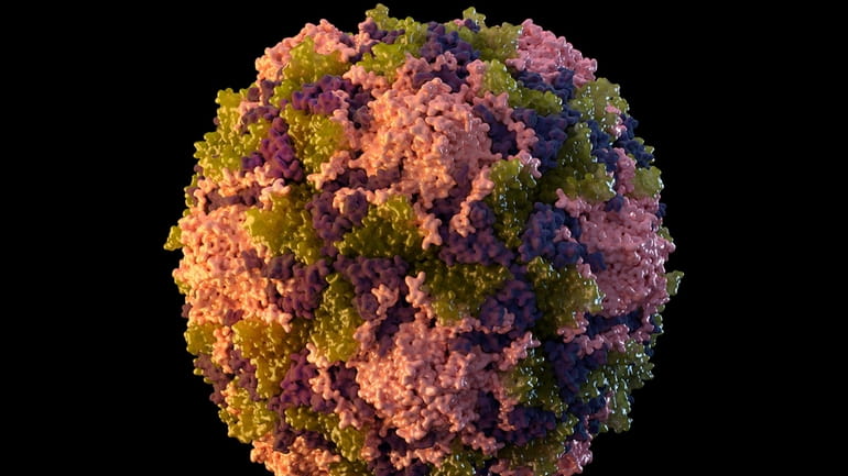 A polio virus particle, as shown in a 2014 illustration made...