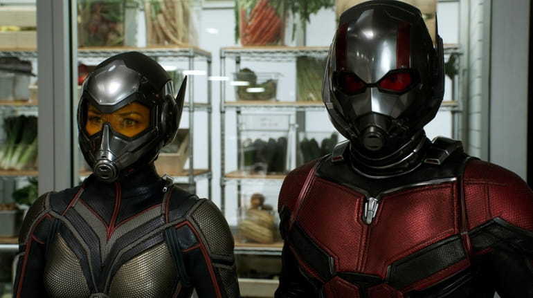 Evangeline Lilly is the Wasp and Paul Rudd is Ant-Man...