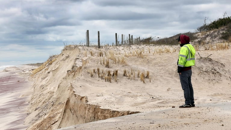 Erosion is seen in an area of Tobay Beach where volunteers...