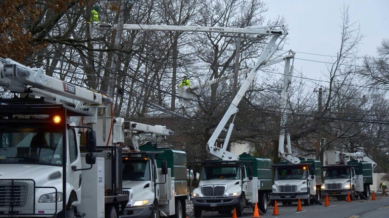 PSE&G crews trim trees along Searingtown Road, just south of...