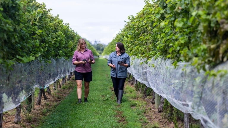 Chronicle Wines winemakers, Robin Epperson-McCarthy and Alie Shaper (right), at...