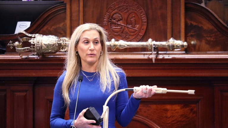 South Carolina state Rep. Beth Bernstein, D-Columbia, holds a transvaginal...