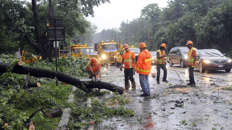 Department of Transportation workers clear fallen trees along Northern Boulevard...