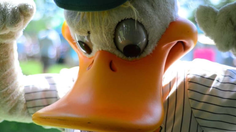 Quackerjack, the mascot of the Long Island ducks, turned out...
